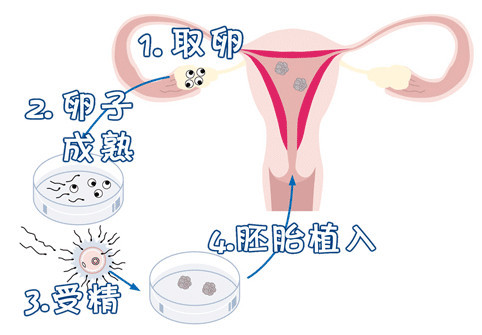 智能实验室